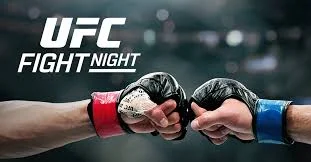 UFC 316