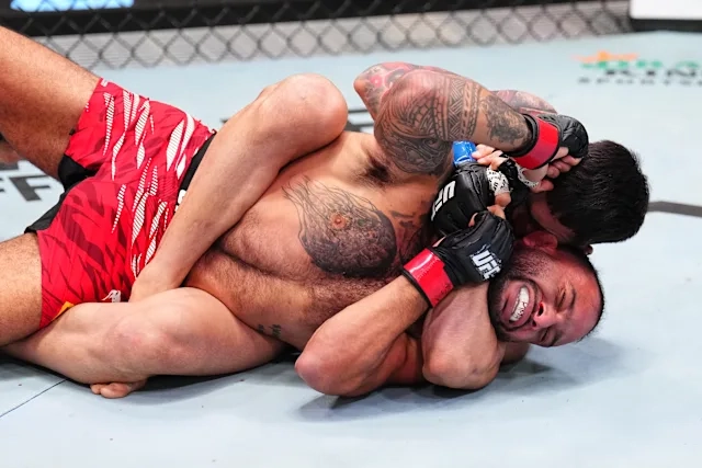 ufc fight night