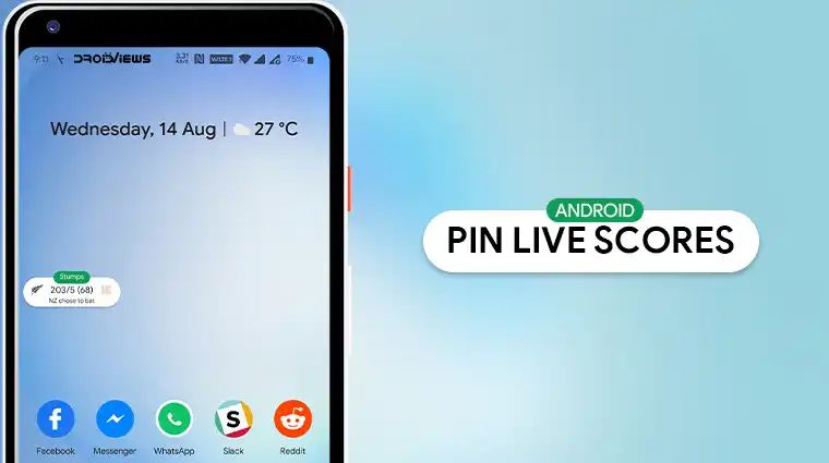 Pin Live Score